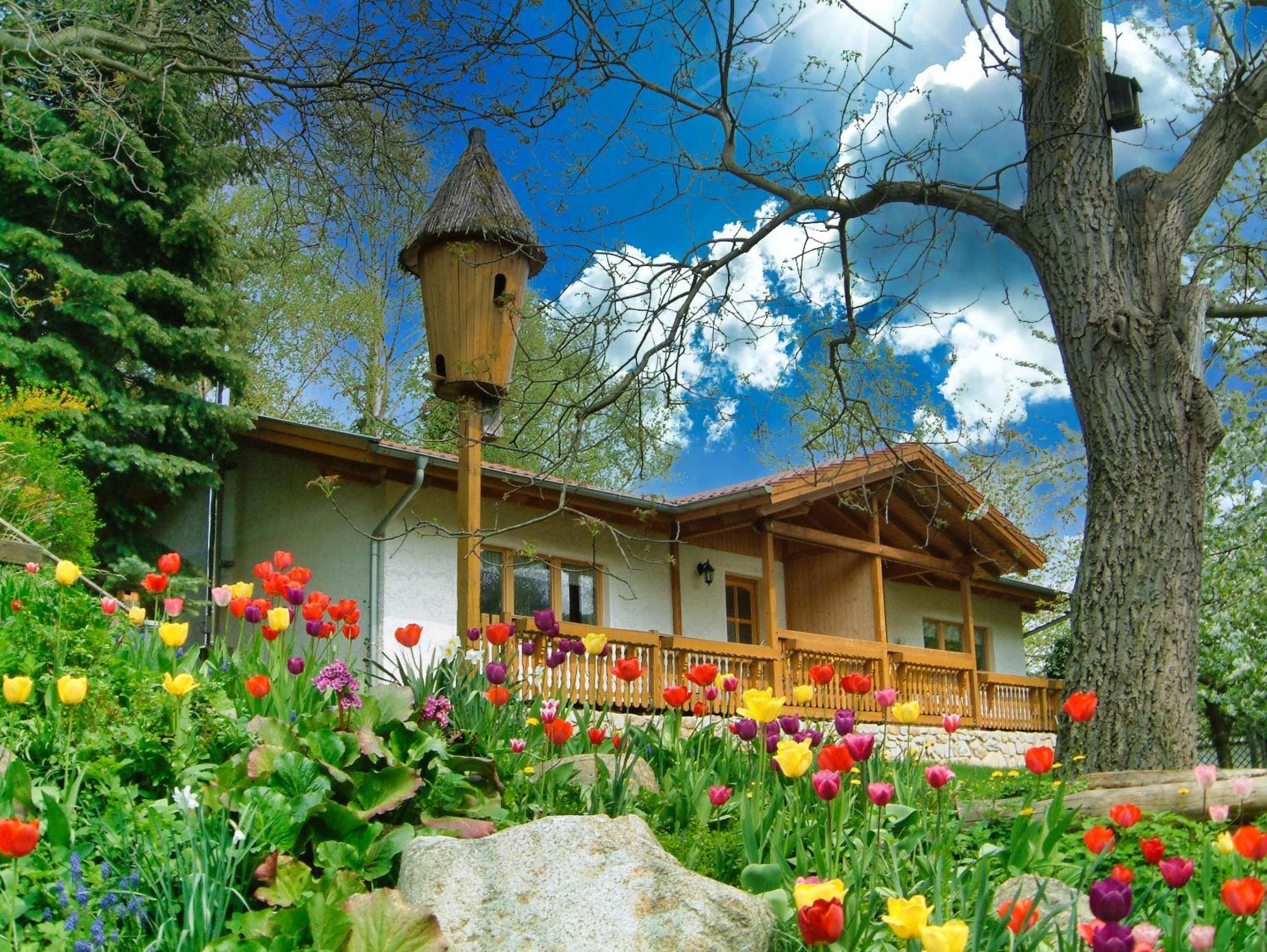Harzer Feriengarten Quedlinburg Exterior photo